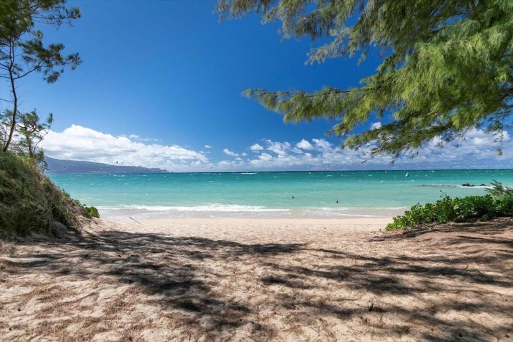 Unit 2 Maui Ohana Modern Studio Wailuku Экстерьер фото